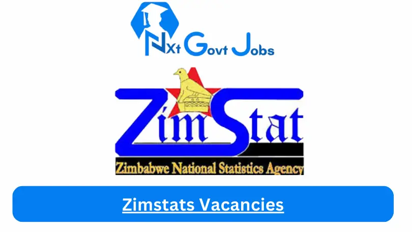 Zimstats Vacancies