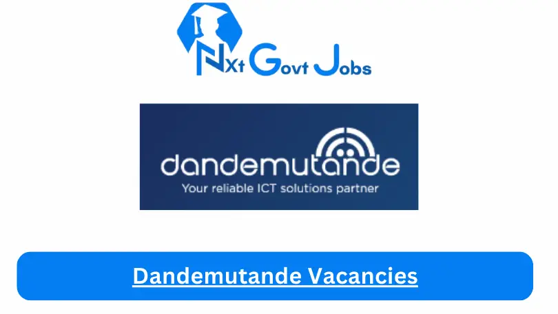 Dandemutande Vacancies